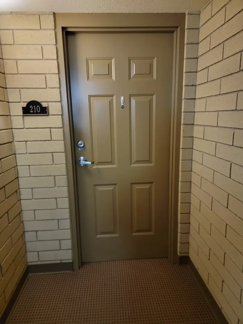 49 Old Frankfort Way #210, Frankfort, IL 60423 - #3