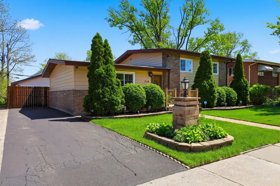 319 N Bradley Drive, Chicago Heights, IL 60411 - #3