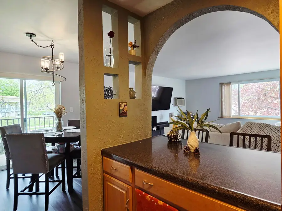 1217 S Old Wilke Road #201, Arlington Heights, IL 60005 - #3