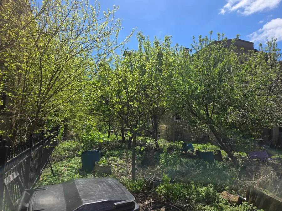 1839 W Touhy Avenue, Chicago, IL 60626 - #2