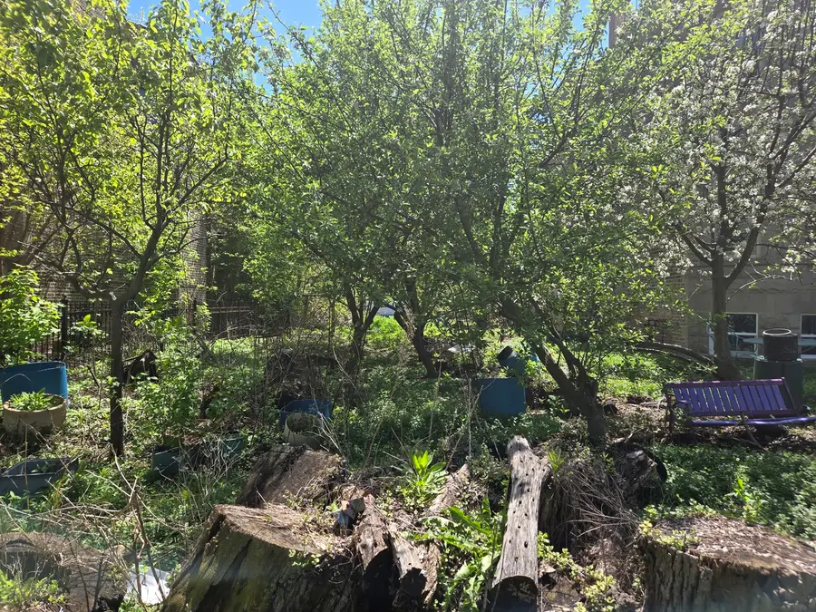 1839 W Touhy Avenue, Chicago, IL 60626 - #3