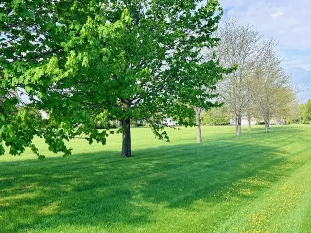 4702 Patty Lane, Ringwood, IL 60072 - #3