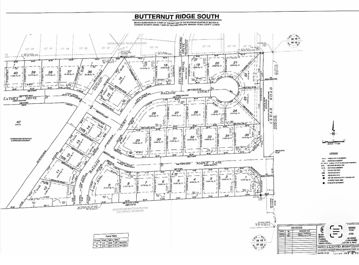 002 Maple Lane, Manhattan, IL 60442 - #1