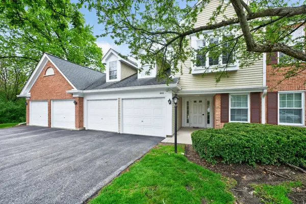 802 Butternut Lane #C, Mount Prospect, IL 60056