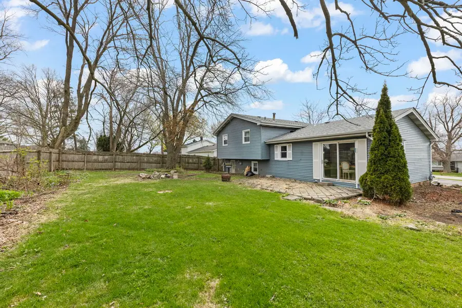 6065 Chase Avenue, Downers Grove, IL 60516 - #2