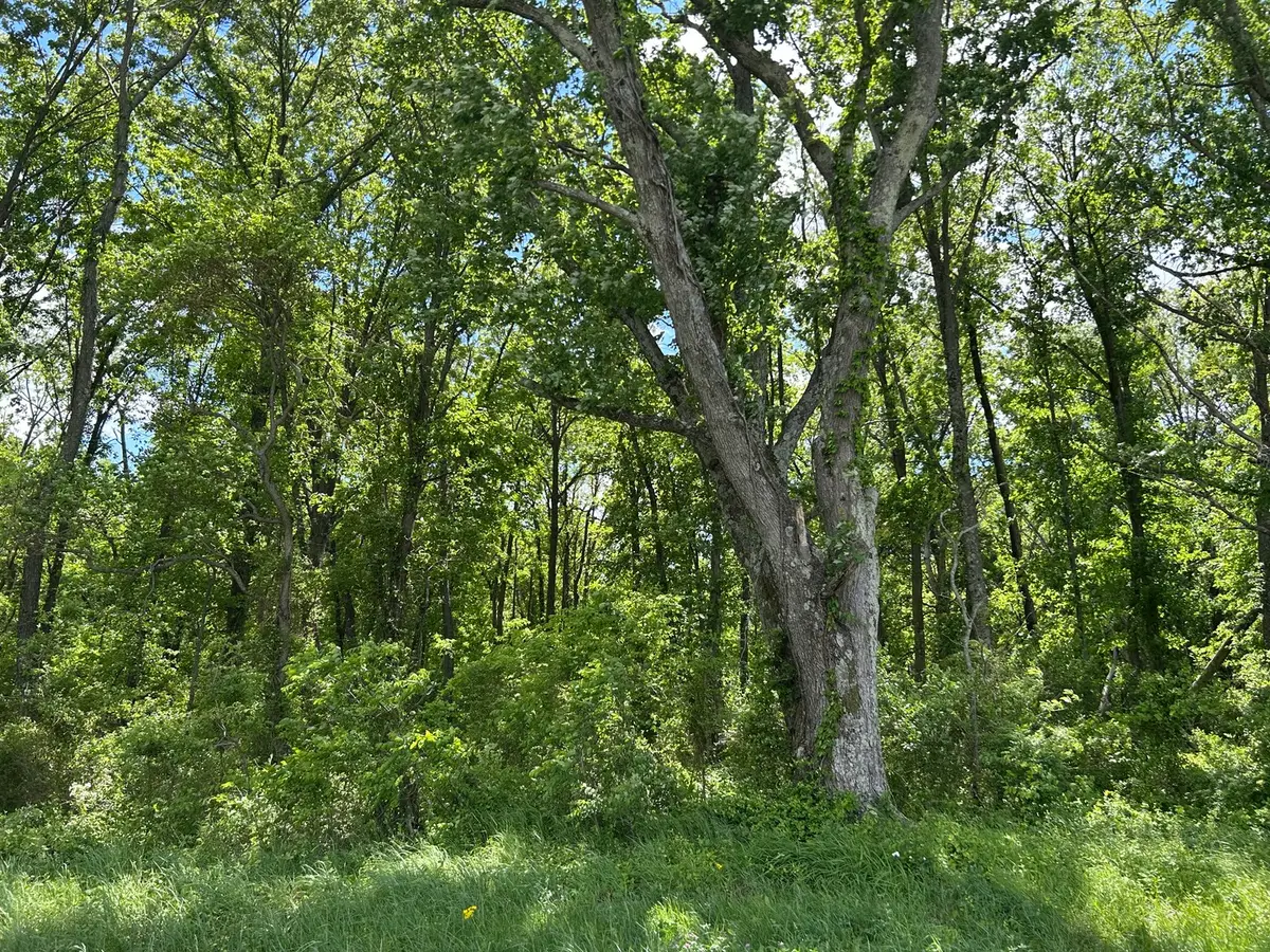 TBD Akin Blacktop, Benton, IL 62812 - #1