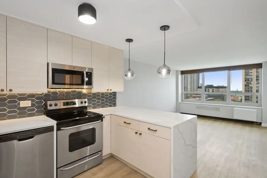 88 W Schiller Street #1107L, Chicago, IL 60610 - #2