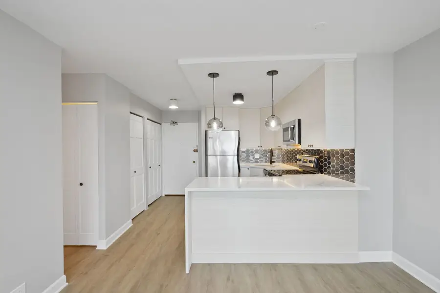 88 W Schiller Street #1107L, Chicago, IL 60610 - #3