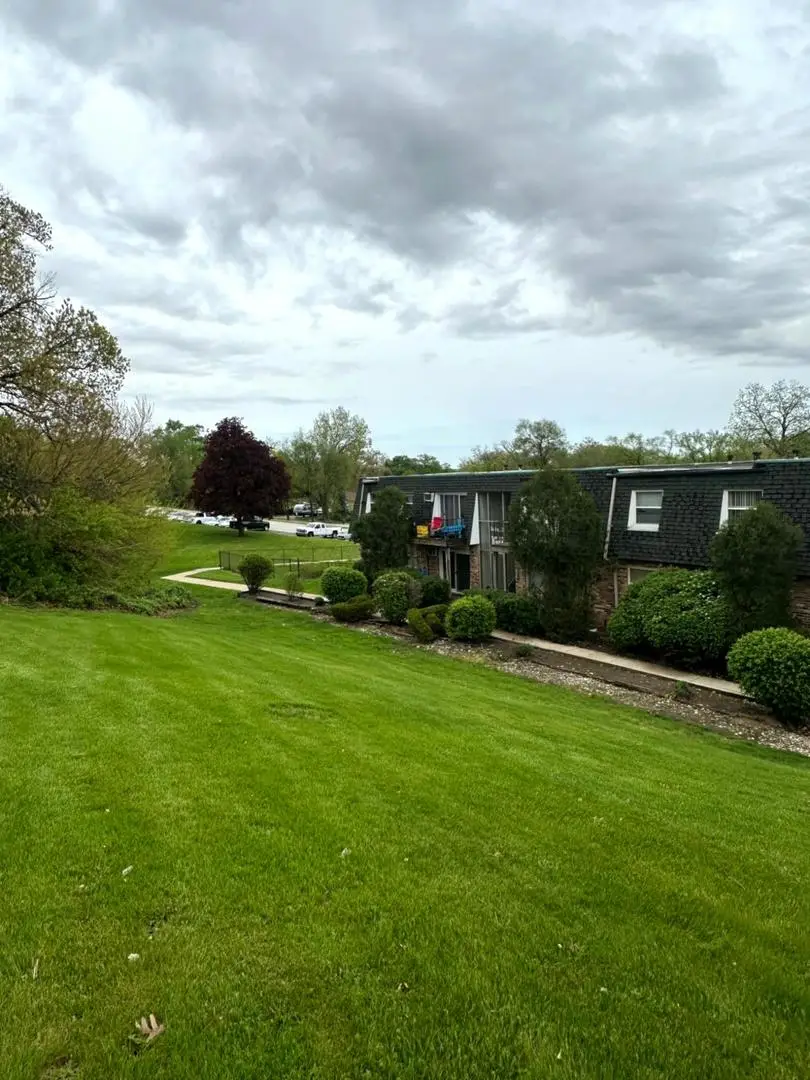 10152 S 84th Terrace #12309, Palos Hills, IL 60465 - #2