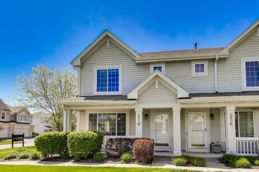 538 Blue Springs Drive, Fox Lake, IL 60020 - #2