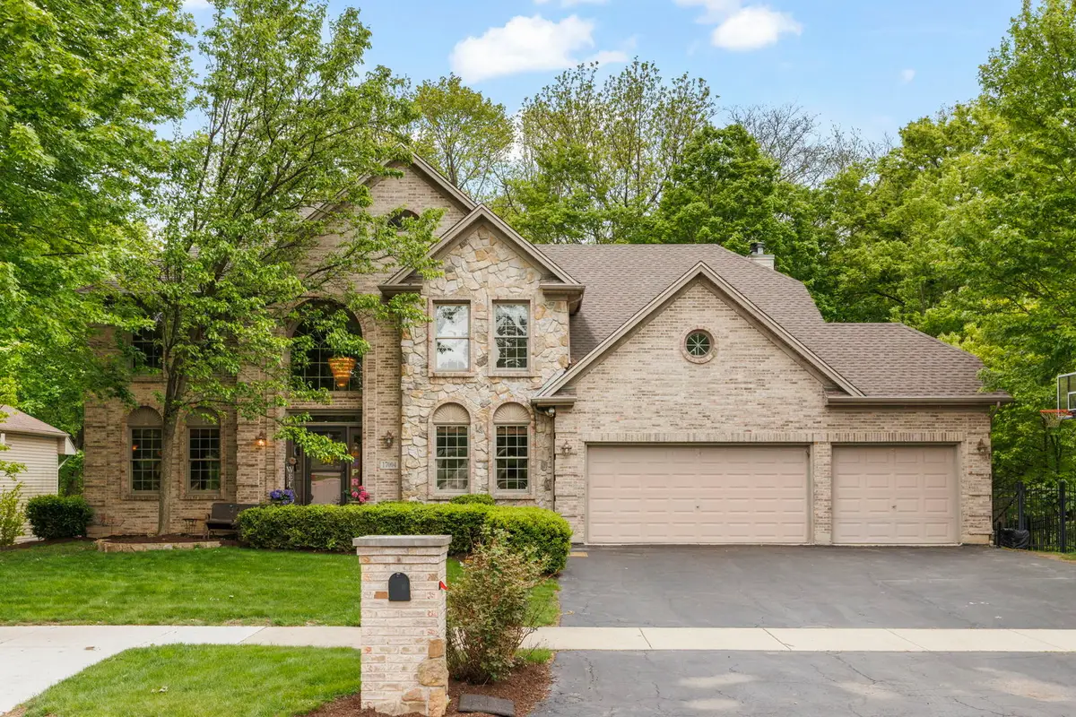 17004 Arbor Creek Drive, Plainfield, IL 60586 - #1