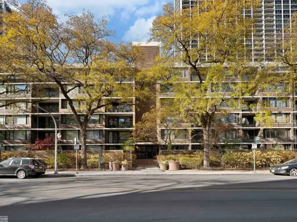 1555 N Sandburg Terrace #310K, Chicago, IL 60610