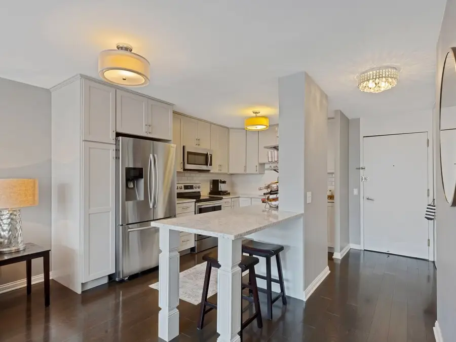 1555 N Sandburg Terrace #310K, Chicago, IL 60610 - #3
