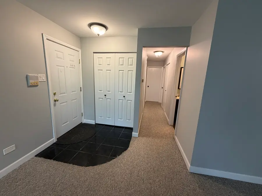 823 E Coach Road #5, Palatine, IL 60074 - #2