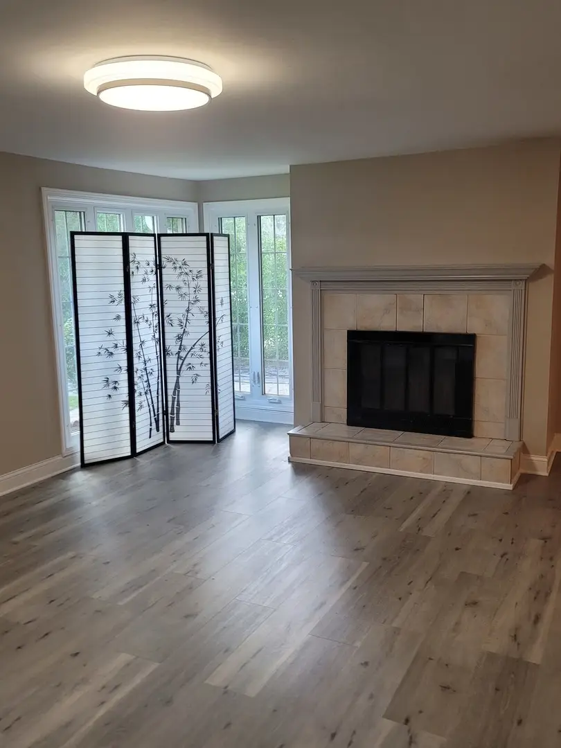 171 Frederick Drive, Chicago Heights, IL 60411 - #3