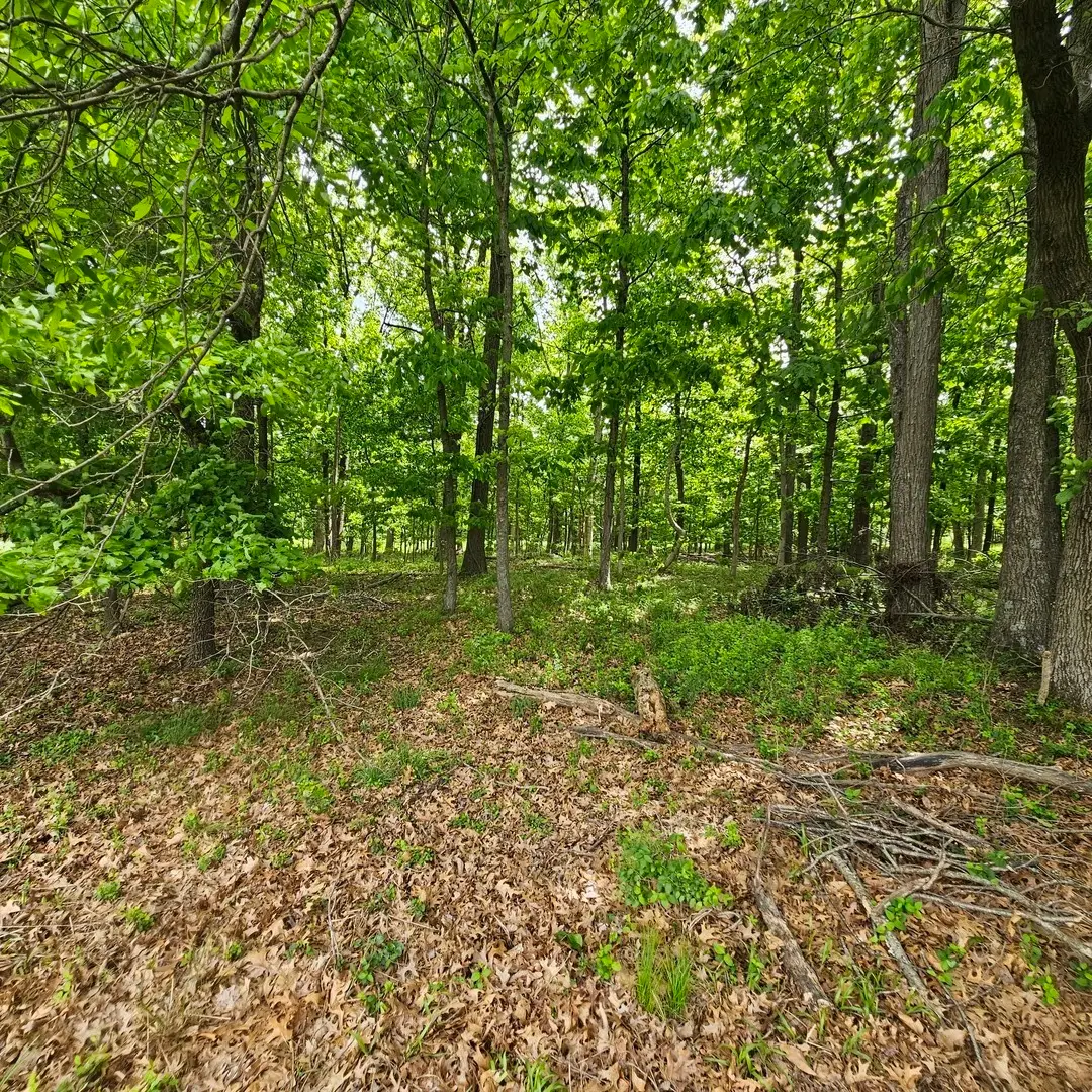 4143 Richview Road, Mount Vernon, IL 62864 - #1