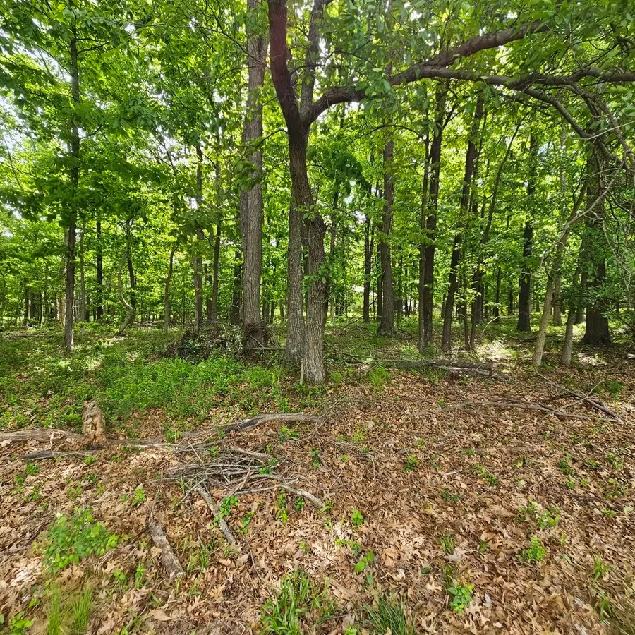 4143 Richview Road, Mount Vernon, IL 62864 - #2