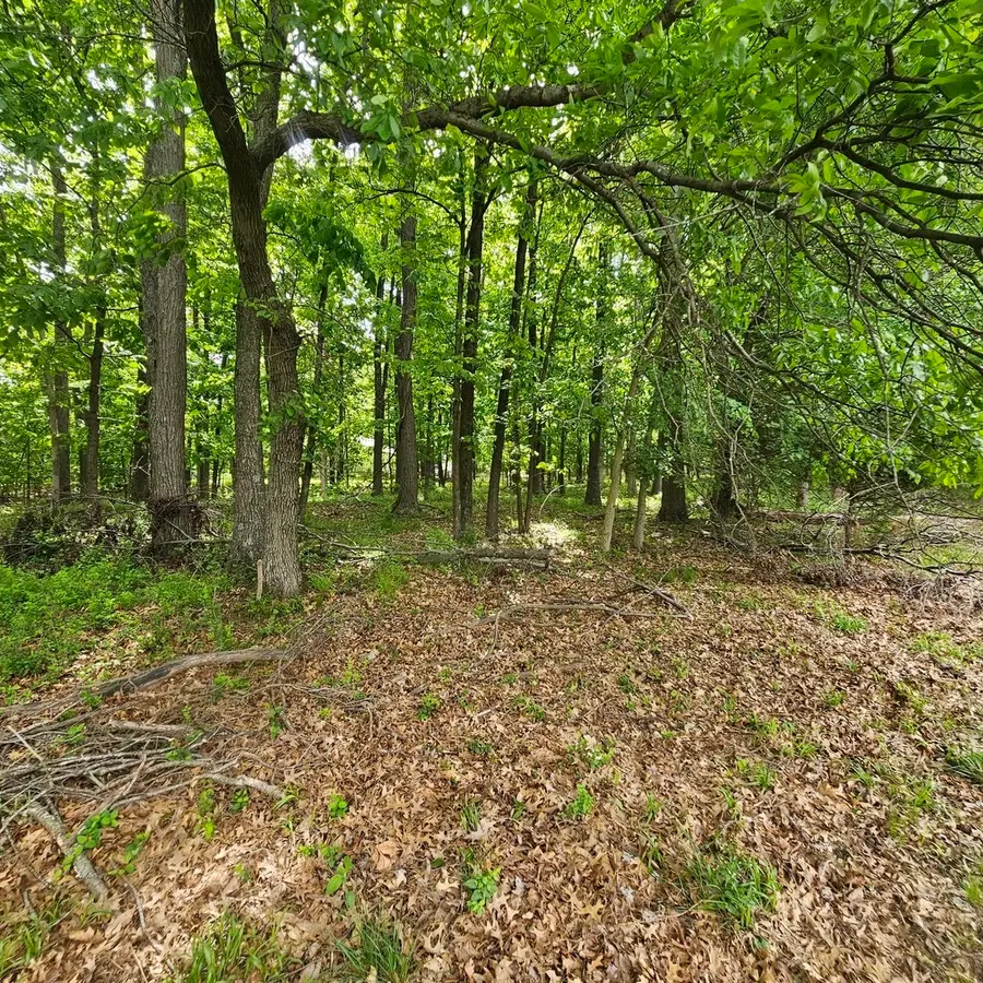 4143 Richview Road, Mount Vernon, IL 62864 - #3