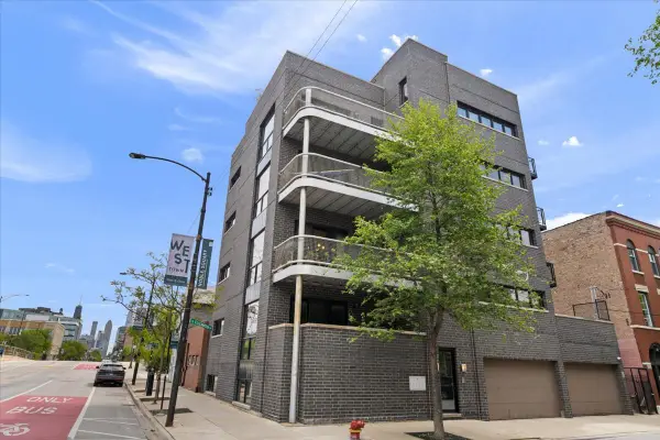 757 N Elizabeth Street #2, Chicago, IL 60642
