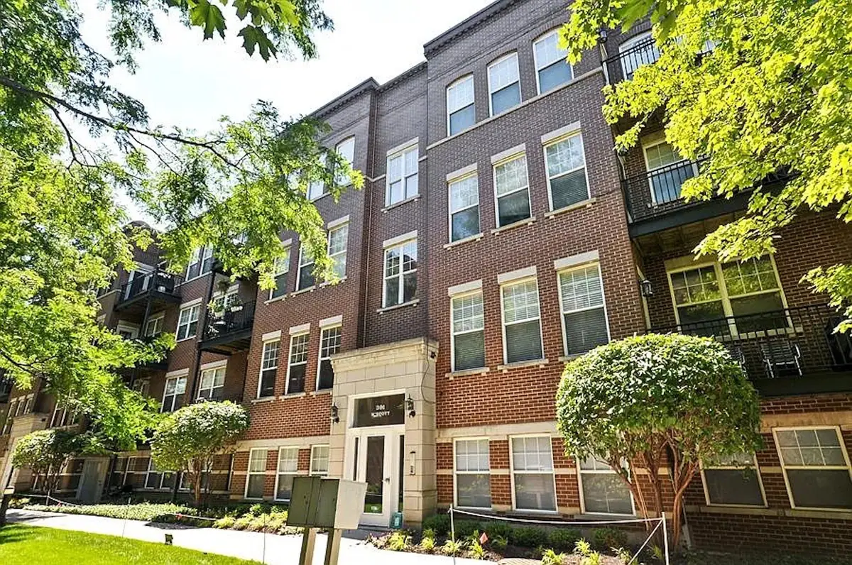301 W Scott Street #204, Chicago, IL 60610 - #1