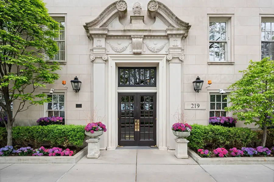 219 E Lake Shore Drive #6AB, Chicago, IL 60611 - #2