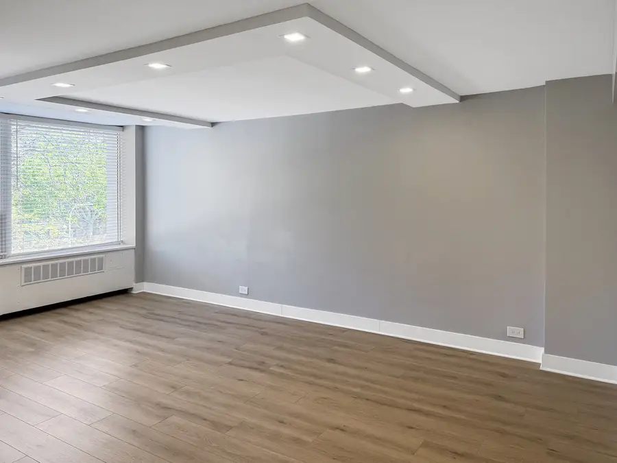 1355 N Sandburg Terrace #206D, Chicago, IL 60610 - #2