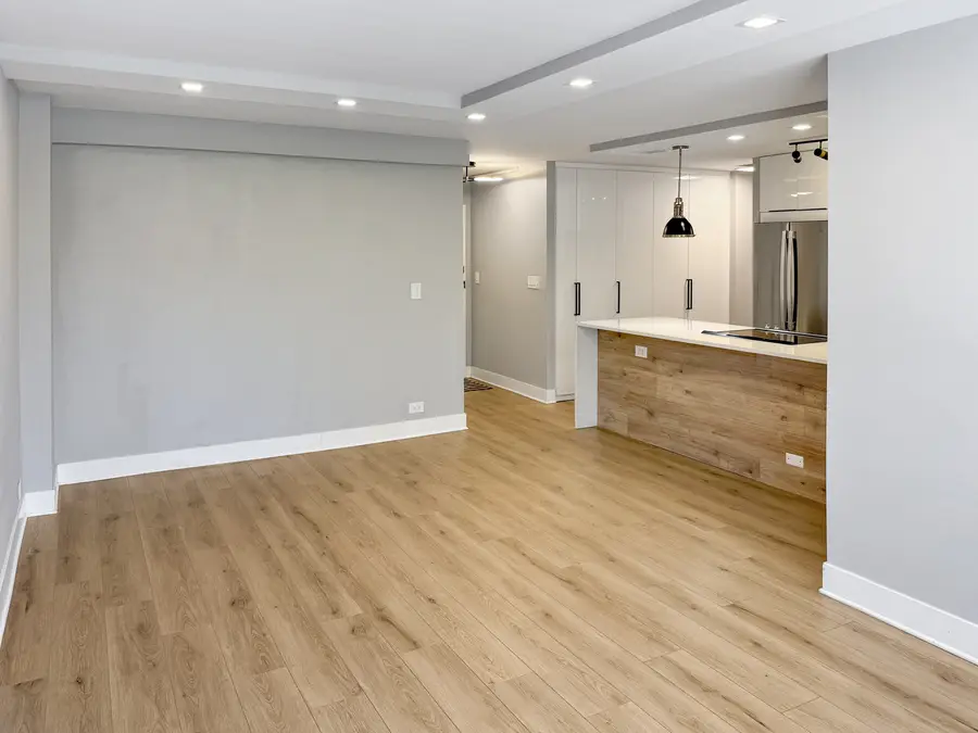 1355 N Sandburg Terrace #206D, Chicago, IL 60610 - #3