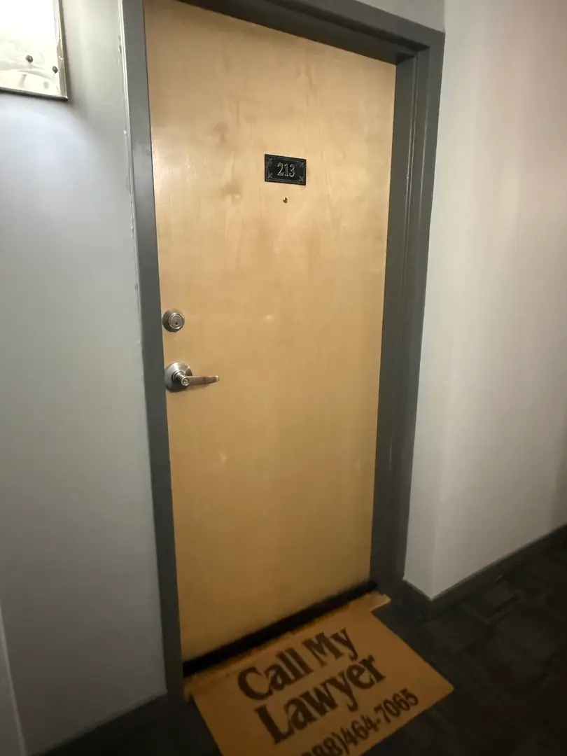 1935 S Archer Avenue #213, Chicago, IL 60616 - #2