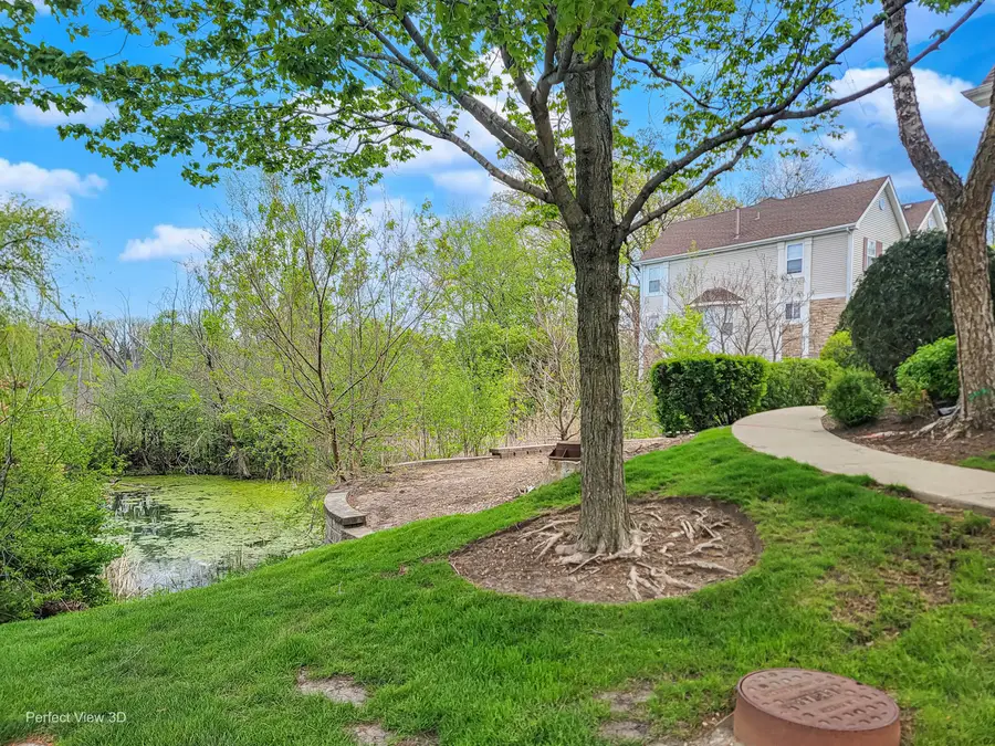 790 W Misty Drive, Palatine, IL 60074 - #3