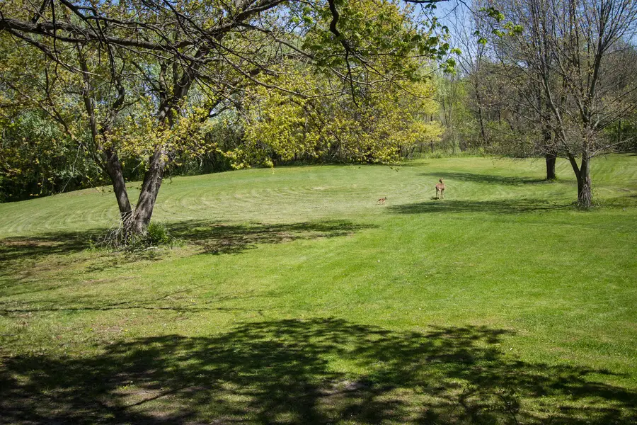 4317 Willowbrook Road, Long Grove, IL 60047 - #2