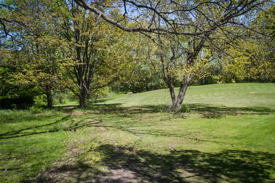 4317 Willowbrook Road, Long Grove, IL 60047 - #3