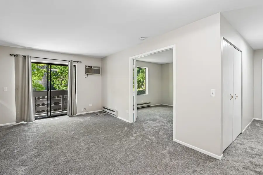 1319 N Winslowe Drive #203, Palatine, IL 60074 - #3