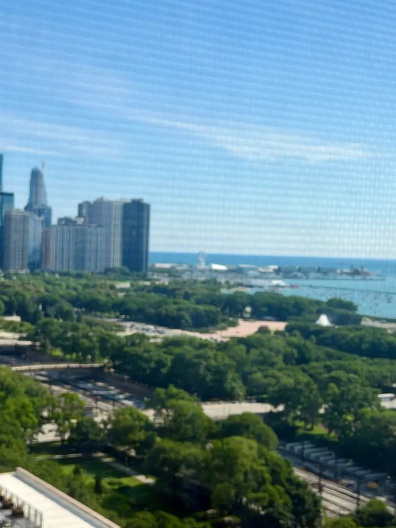 910 S Michigan Avenue #1705, Chicago, IL 60605 - #2