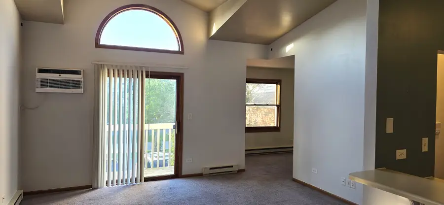 1350 Cunat Court #2D, Lake In The Hills, IL 60156 - #3