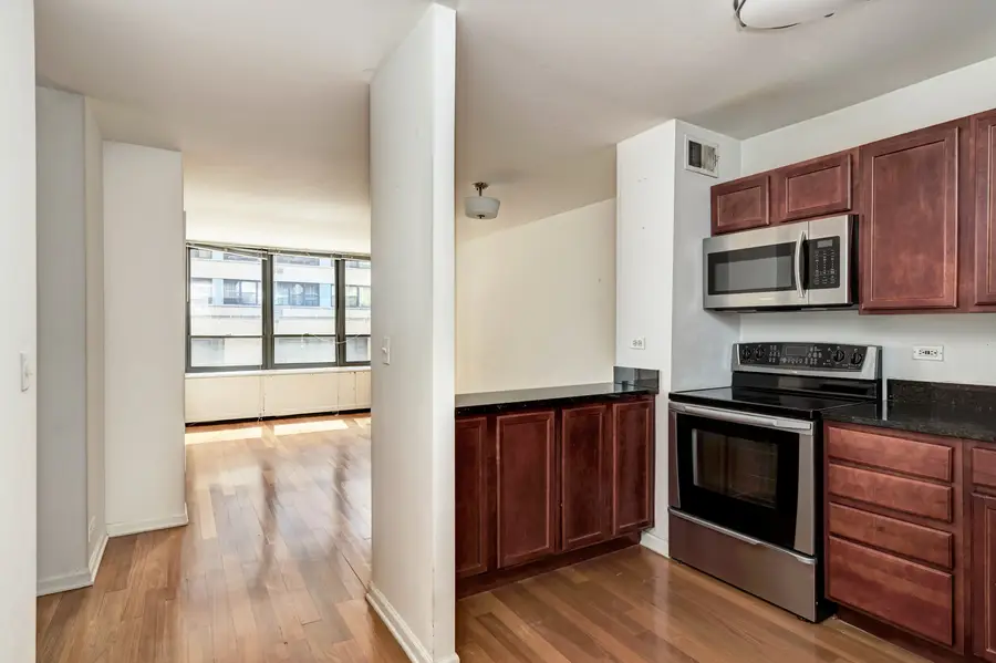 222 E Pearson Street #203, Chicago, IL 60611 - #2