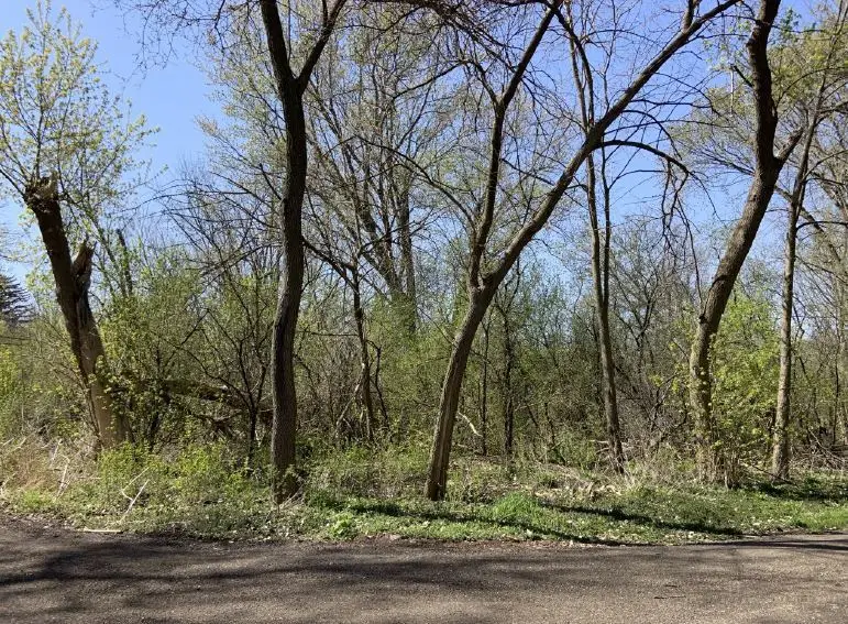 26605 N Brooks Street, Wauconda, IL 60084 - #2