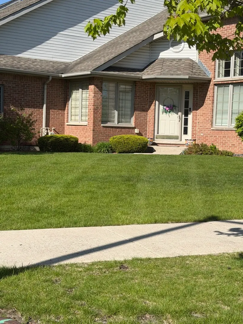 6723 Pondview Drive, Tinley Park, IL 60477 - #1