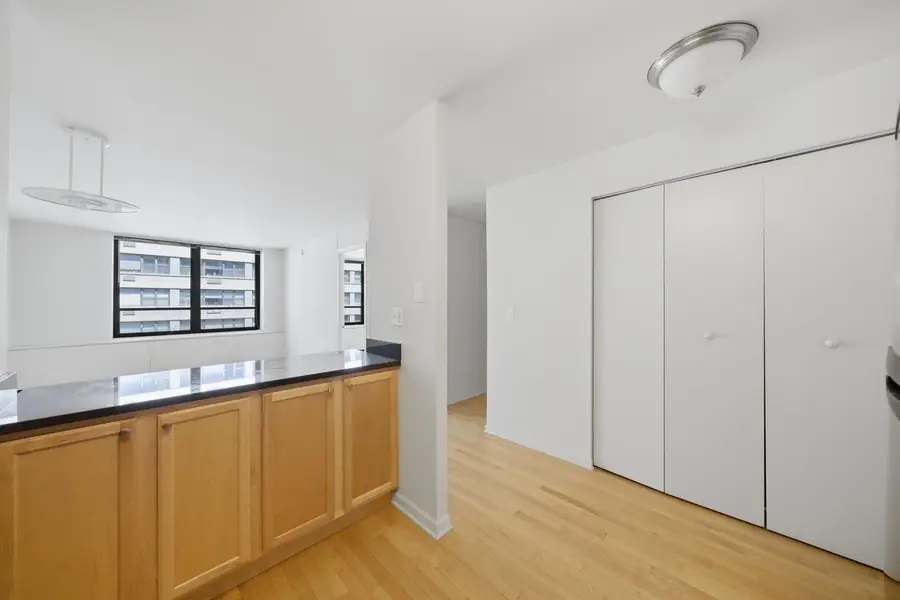 222 E Pearson Street #1007, Chicago, IL 60611 - #3