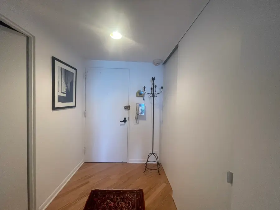 175 E Delaware Place #5403, Chicago, IL 60611 - #2