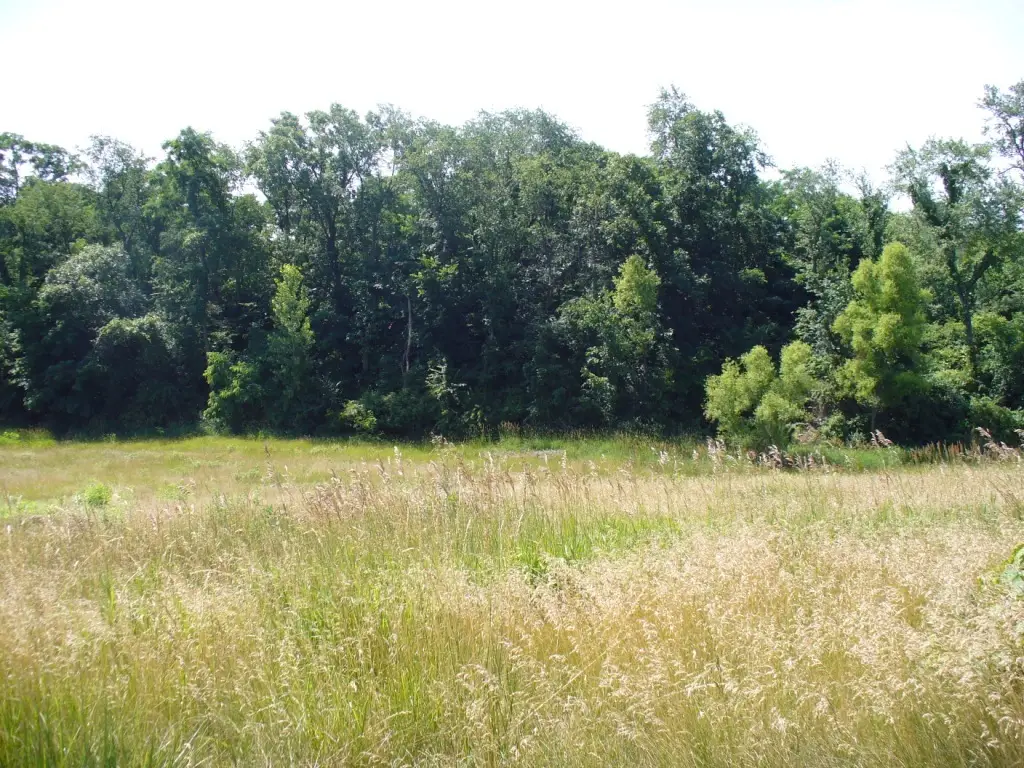Lot 3 Par Lane, Richland Grove, IL 61265 - #1