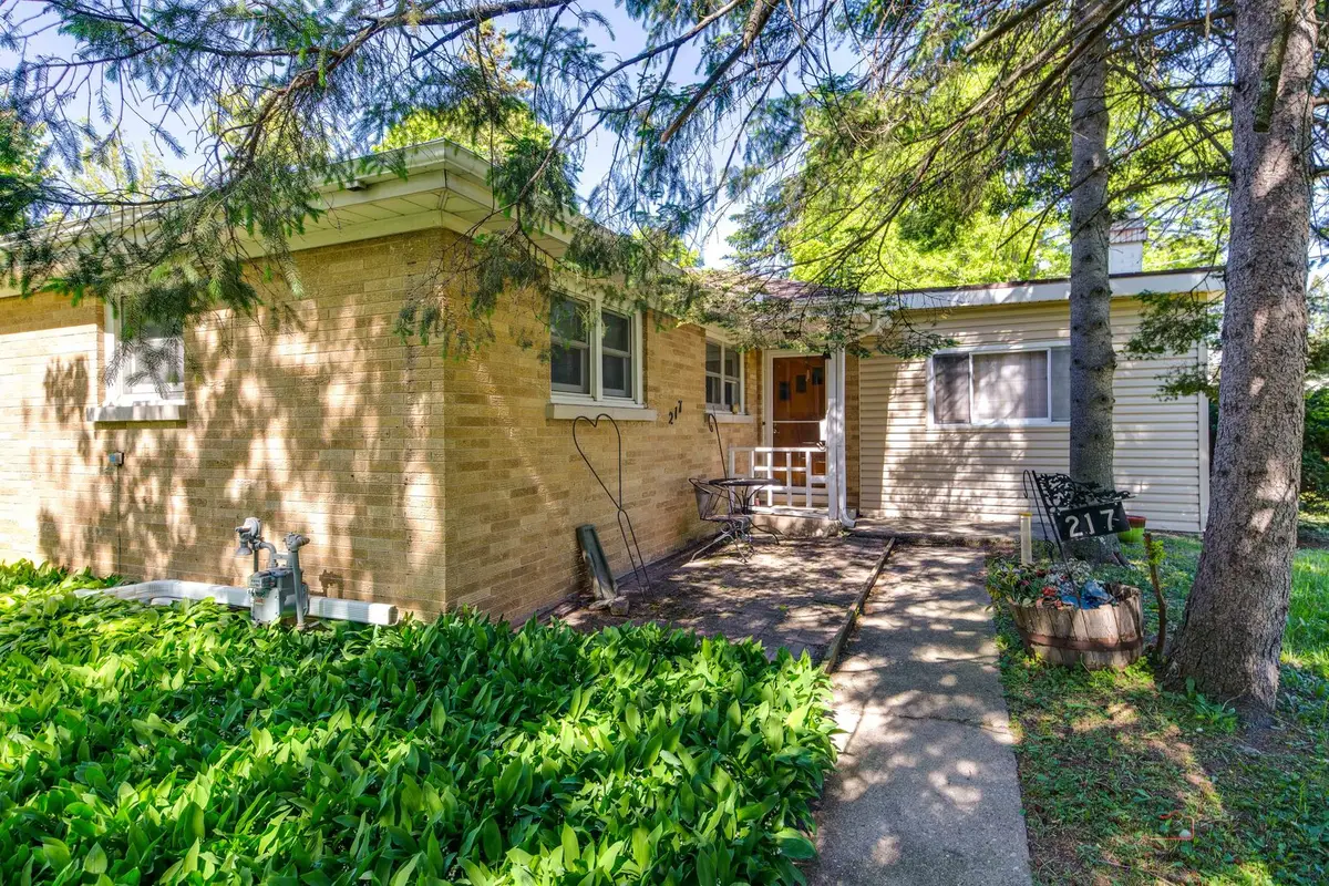 217 Dalton Avenue, Mundelein, IL 60060 - #1