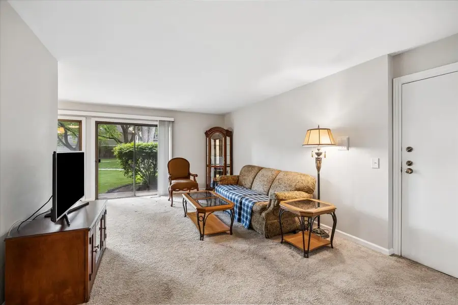 349 Newgate Court #C1, Schaumburg, IL 60193 - #3
