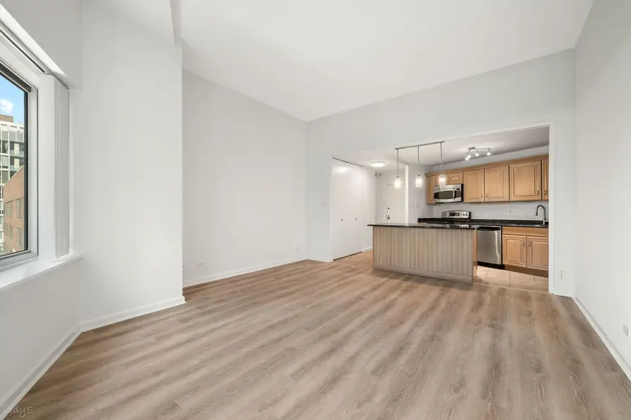 211 E Ohio Street #2915, Chicago, IL 60611 - #3