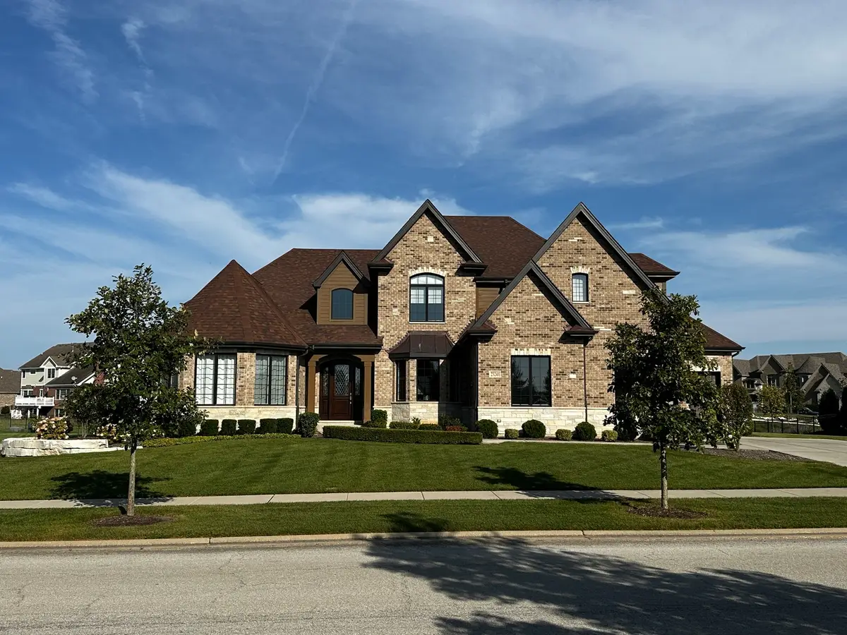 23241 Sunburst Point, Frankfort, IL 60423 - #1