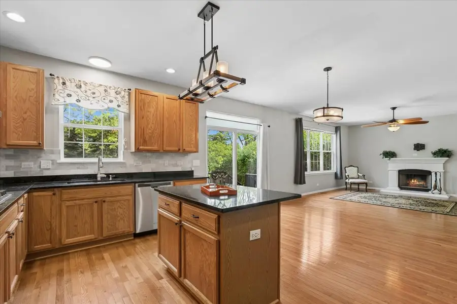2589 Portage Avenue, Wauconda, IL 60084 - #3
