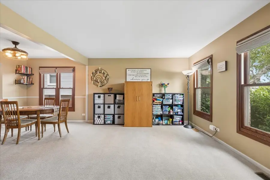6 Crofton Court, Lake In The Hills, IL 60156 - #3