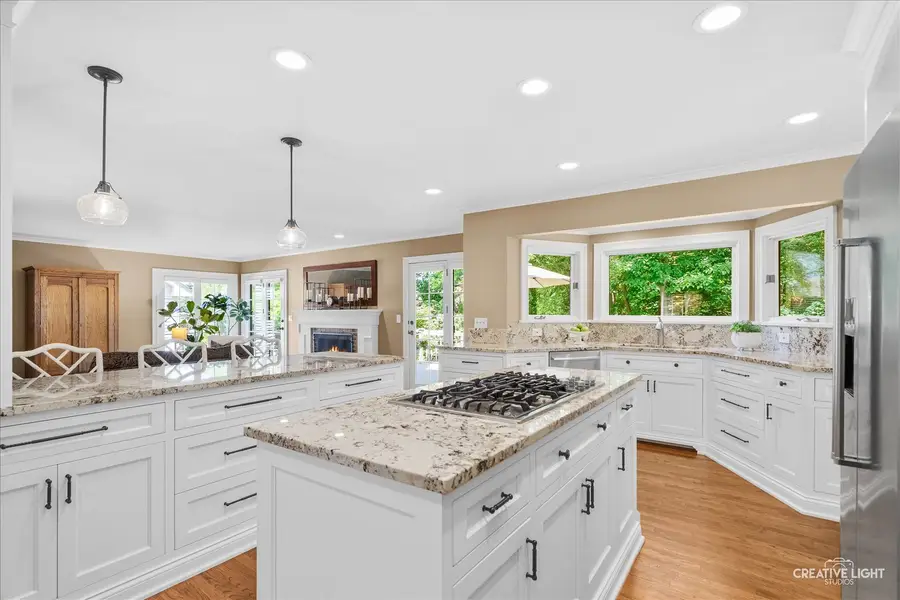 2124 University Drive, Naperville, IL 60565 - #2