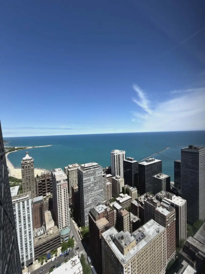 180 E Pearson Street #4202, Chicago, IL 60611 - #3