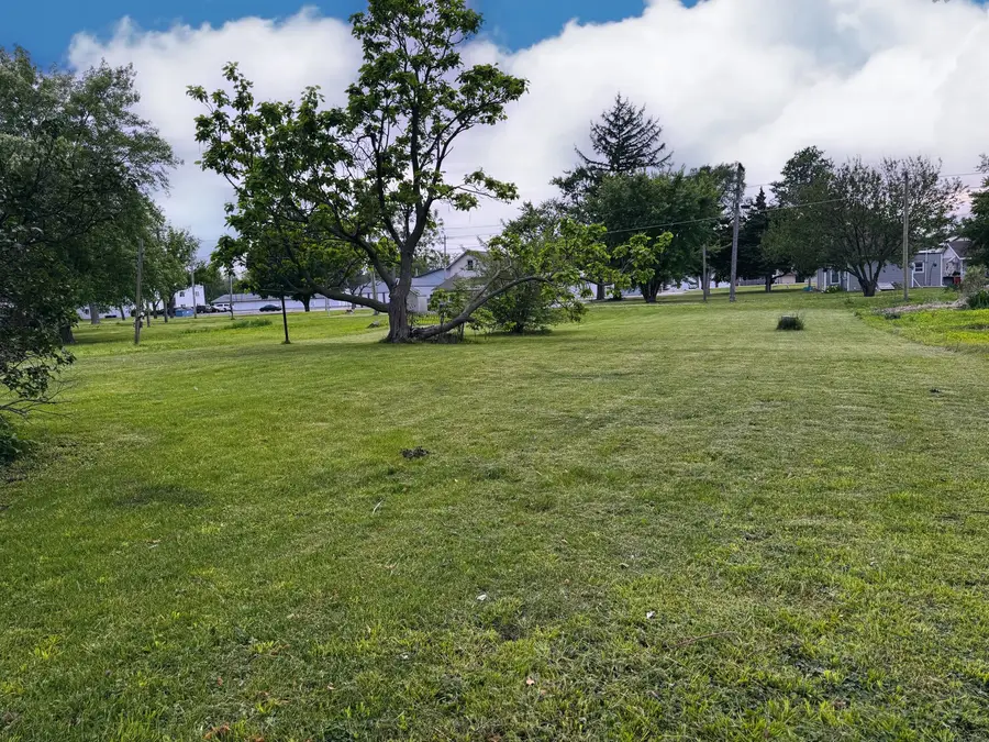 Lot 13 S Locust Street, Wenona, IL 61377 - #2