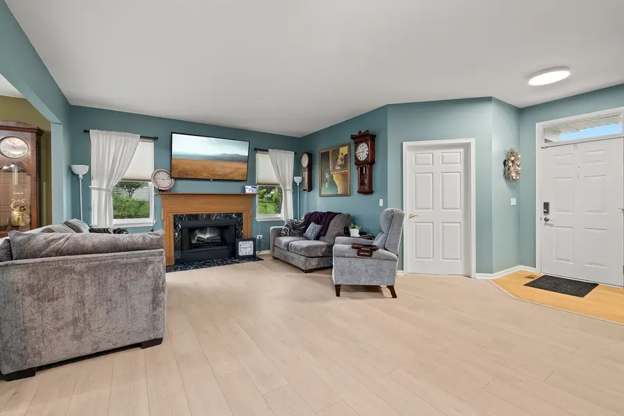 21445 W Douglas Lane, Plainfield, IL 60544 - #2